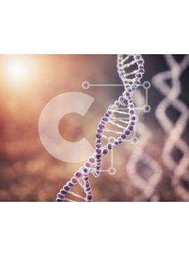 Intra Συλλεκτικό Ξύλινο Παζλ Plywood  4mm - Κοντινή όψη ενός κλώνου DNA Σε Ξύλινο Κουτί - Διαστάσεις Puzzle: 10x10 cm – 25 κομμάτια