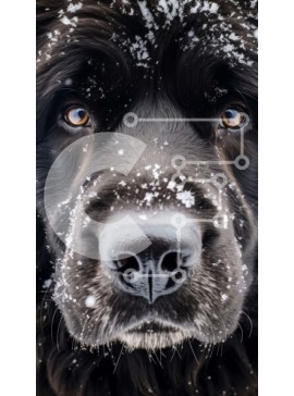 Σετ των 2 Intra Συλλεκτικό Ξύλινο Παζλ Plywood  4mm - Μαύρος σκύλος καλυμμένος στο χιόνι Σε Ξύλινο Κουτί - Διαστάσεις: 10x10 cm – 25 κομμάτια