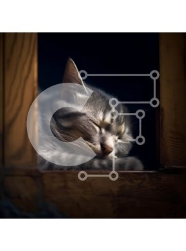 Intra Συλλεκτικό Ξύλινο Παζλ Plywood  4mm - Αξιολάτρευτη εικόνα μιας γάτας που κοιμάται σε ένα περβάζι παραθύρου Σε Ξύλινο Κουτί - Διαστάσεις: 10x10 cm – 25 κομμάτια