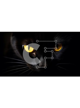 Intra Συλλεκτικό Ξύλινο Παζλ Plywood  4mm - Μαύρη γάτα με κίτρινα μάτια κοιτάζοντας την κάμερα Σε Ξύλινο Κουτί - Διαστάσεις: 10x10 cm – 25 κομμάτια