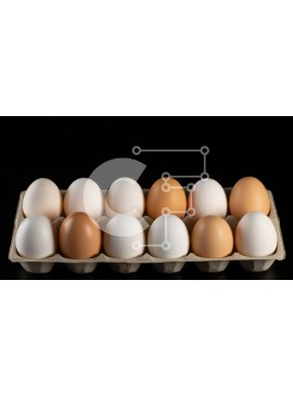 Σετ των 2 Intra Συλλεκτικό Ξύλινο Παζλ Plywood  4mm - Κουτί με αυγά με λευκά και καφέ αυγά Σε Ξύλινο Κουτί - Διαστάσεις: 10x10 cm – 25 κομμάτια