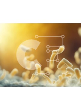 Intra Συλλεκτικό Ξύλινο Παζλ Plywood  4mm - Κοντινό πλάνο ενός λευκού αιμοσφαιρίου Σε Ξύλινο Κουτί - Διαστάσεις Puzzle: 10x10 cm – 25 κομμάτια