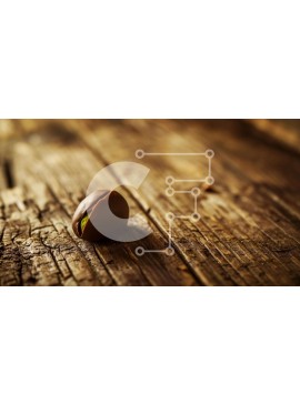 Σετ των 2 Intra Συλλεκτικό Ξύλινο Παζλ Plywood  4mm - Φιστίκι με σοκολάτα σε ξύλινο τραπέζι Σε Ξύλινο Κουτί - Διαστάσεις: 10x10 cm – 25 κομμάτια