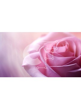 Intra Συλλεκτικό Ξύλινο Παζλ Plywood  4mm - Ροζ τριαντάφυλλο με θολό φόντο Σε Ξύλινο Κουτί - Διαστάσεις: 10x10 cm – 25 κομμάτια