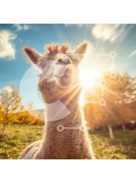 Intra Συλλεκτικό Ξύλινο Παζλ Plywood  4mm - Αξιολάτρευτο χαμογελαστό λάμα σε ένα όμορφο φθινοπωρινό χωράφι Σε Ξύλινο Κουτί - Διαστάσεις: 10x10 cm – 25 κομμάτια