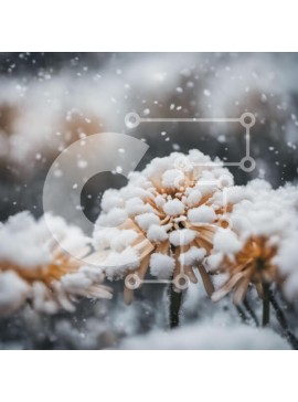 Intra Συλλεκτικό Ξύλινο Παζλ Plywood  4mm - Χιονισμένα λουλούδια σε ένα χειμερινό τοπίο Σε Ξύλινο Κουτί - Διαστάσεις: 10x10 cm – 25 κομμάτια