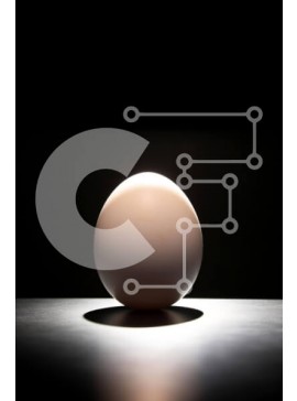 Σετ των 2 Intra Συλλεκτικό Ξύλινο Παζλ Plywood  4mm - μεγάλο αυγό στο σκοτεινό τραπέζι Σε Ξύλινο Κουτί - Διαστάσεις: 10x10 cm – 25 κομμάτια