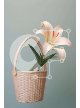 Σετ των 2 Intra Συλλεκτικό Ξύλινο Παζλ Plywood  4mm - Λευκός κρίνος σε ένα καλάθι σε ουδέτερο φόντο Σε Ξύλινο Κουτί - Διαστάσεις: 10x10 cm – 25 κομμάτια