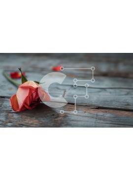 Intra Συλλεκτικό Ξύλινο Παζλ Plywood  4mm - Κόκκινο τριαντάφυλλο σε παλιό ξύλινο τραπέζι Σε Ξύλινο Κουτί - Διαστάσεις: 10x10 cm – 25 κομμάτια