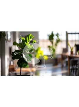 Intra Συλλεκτικό Ξύλινο Παζλ Plywood  4mm - Φυτό σε γλάστρα σε κενό δωμάτιο Σε Ξύλινο Κουτί - Διαστάσεις Puzzle: 10x10 cm – 25 κομμάτια