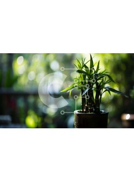 Intra Συλλεκτικό Ξύλινο Παζλ Plywood  4mm - Φυτό εσωτερικού χώρου σε γλάστρα με πράσινα φύλλα Σε Ξύλινο Κουτί - Διαστάσεις: 10x10 cm – 25 κομμάτια