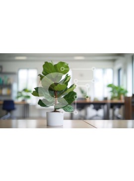 Intra Συλλεκτικό Ξύλινο Παζλ Plywood  4mm - Υγιές φυτό σε γλάστρα στο τραπέζι γραφείου Σε Ξύλινο Κουτί - Διαστάσεις Puzzle: 10x10 cm – 25 κομμάτια