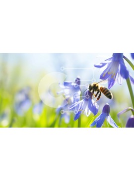 Intra Συλλεκτικό Ξύλινο Παζλ Plywood  4mm - Μέλισσα στα μπλε αγριολούλουδα Σε Ξύλινο Κουτί - Διαστάσεις: 10x10 cm – 25 κομμάτια