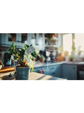 Intra Συλλεκτικό Ξύλινο Παζλ Plywood  4mm - Καλοσυντηρημένη κουζίνα με φυτό εσωτερικού χώρου Σε Ξύλινο Κουτί - Διαστάσεις Puzzle: 10x10 cm – 25 κομμάτια