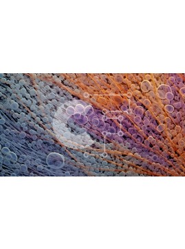 Intra Συλλεκτικό Ξύλινο Παζλ Plywood  4mm - Κοντινή εικόνα ενός σοβαρού επιχειρηματία με κοστούμι και γραβάτα Σε Ξύλινο Κουτί - Διαστάσεις Puzzle: 10x10 cm – 25 κομμάτια