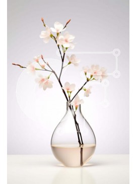 Σετ των 2 Intra Συλλεκτικό Ξύλινο Παζλ Plywood  4mm - Κομψά λευκά λουλούδια σε διάφανο βάζο Σε Ξύλινο Κουτί - Διαστάσεις: 10x10 cm – 25 κομμάτια