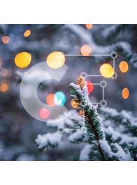 Intra Συλλεκτικό Ξύλινο Παζλ Plywood  4mm - Χιονισμένο κλαδί δέντρου με πολύχρωμα φώτα Σε Ξύλινο Κουτί - Διαστάσεις Puzzle: 10x10 cm – 25 κομμάτια