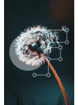 Σετ των 2 Intra Συλλεκτικό Ξύλινο Παζλ Plywood  4mm - Μονή πικραλίδα που φυσά στον άνεμο με διάσπαρτους σπόρους Σε Ξύλινο Κουτί - Διαστάσεις: 10x10 cm – 25 κομμάτια