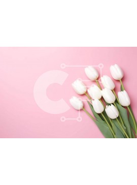 Intra Συλλεκτικό Ξύλινο Παζλ Plywood  4mm - Μπουκέτο με λευκές τουλίπες σε ροζ φόντο με πράσινα φύλλα Σε Ξύλινο Κουτί - Διαστάσεις: 10x10 cm – 25 κομμάτια