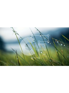 Intra Συλλεκτικό Ξύλινο Παζλ Plywood  4mm - Κοντινό πλάνο Dewy Grass με γραφική θέα στη λίμνη και στο βουνό Σε Ξύλινο Κουτί - Διαστάσεις: 10x10 cm – 25 κομμάτια
