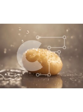 Σετ των 2 Intra Συλλεκτικό Ξύλινο Παζλ Plywood  4mm - Πατάτα καλυμμένη με σταγονίδια νερού Σε Ξύλινο Κουτί - Διαστάσεις: 10x10 cm – 25 κομμάτια