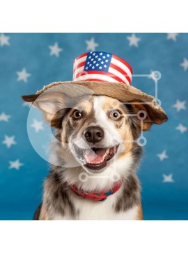 Intra Συλλεκτικό Ξύλινο Παζλ Plywood  4mm - Χαριτωμένη φωτογραφία σκύλου που φορά καπέλο αμερικανικής σημαίας Σε Ξύλινο Κουτί - Διαστάσεις: 10x10 cm – 25 κομμάτια