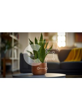 Intra Συλλεκτικό Ξύλινο Παζλ Plywood  4mm - Καφέ φυτό σε γλάστρα σε σαλόνι Σε Ξύλινο Κουτί - Διαστάσεις Puzzle: 10x10 cm – 25 κομμάτια