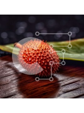 Σετ των 2 Intra Συλλεκτικό Ξύλινο Παζλ Plywood  4mm - Φρέσκο ​​κόκκινο φρούτο Durian σε ξύλινη επιφάνεια Σε Ξύλινο Κουτί - Διαστάσεις: 10x10 cm – 25 κομμάτια