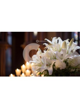 Intra Συλλεκτικό Ξύλινο Παζλ Plywood  4mm - Κομψό βάζο με λευκά λουλούδια και κεριά Σε Ξύλινο Κουτί - Διαστάσεις Puzzle: 10x10 cm – 25 κομμάτια