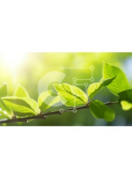 Intra Συλλεκτικό Ξύλινο Παζλ Plywood  4mm - Κοντινό πλάνο ενός φρέσκου πράσινου φύλλου με το φως του ήλιου Σε Ξύλινο Κουτί - Διαστάσεις: 10x10 cm – 25 κομμάτια