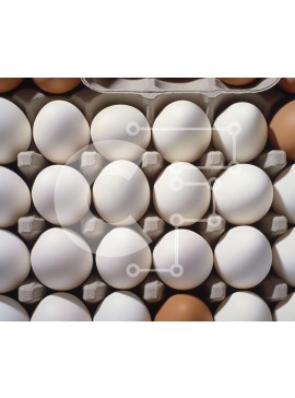 Σετ των 2 Intra Συλλεκτικό Ξύλινο Παζλ Plywood  4mm - Ποικιλία αυγών σε κουτί Σε Ξύλινο Κουτί - Διαστάσεις: 10x10 cm – 25 κομμάτια