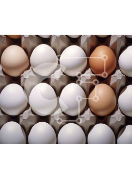 Σετ των 2 Intra Συλλεκτικό Ξύλινο Παζλ Plywood  4mm - Ποικιλία αυγών σε κουτί - φρέσκα αγροτικά αυγά Σε Ξύλινο Κουτί - Διαστάσεις: 10x10 cm – 25 κομμάτια