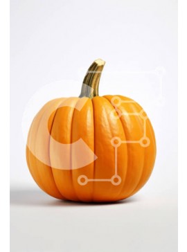 Intra Συλλεκτικό Ξύλινο Παζλ Plywood  4mm - Στοκ Φωτογραφία Σε Ξύλινο Κουτί - Διαστάσεις Puzzle: 10x10 cm – 25 κομμάτια