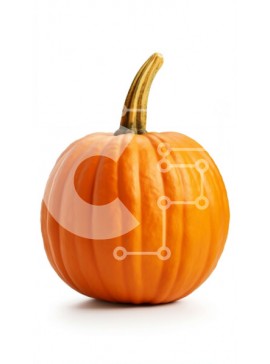 Intra Συλλεκτικό Ξύλινο Παζλ Plywood  4mm - Εικόνα κολοκύθας Σε Ξύλινο Κουτί - Διαστάσεις Puzzle: 10x10 cm – 25 κομμάτια