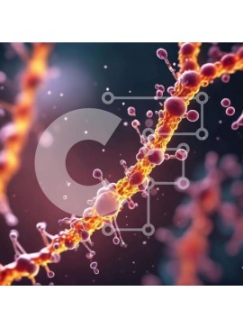 Intra Συλλεκτικό Ξύλινο Παζλ Plywood  4mm - Κοντινό πλάνο της δομής και της λειτουργίας της κυτταρικής μεμβράνης Σε Ξύλινο Κουτί - Διαστάσεις Puzzle: 10x10 cm – 25 κομμάτια