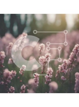 Intra Συλλεκτικό Ξύλινο Παζλ Plywood  4mm - Πεδίο με ροζ λουλούδια με αντανάκλαση του ηλιακού φωτός Σε Ξύλινο Κουτί - Διαστάσεις: 10x10 cm – 25 κομμάτια