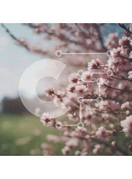 Intra Συλλεκτικό Ξύλινο Παζλ Plywood  4mm - Ροζ ανθισμένο δέντρο την άνοιξη με διάσπαρτα λουλούδια Σε Ξύλινο Κουτί - Διαστάσεις: 10x10 cm – 25 κομμάτια