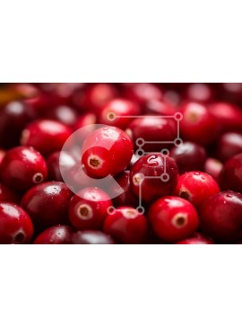 Σετ των 2 Intra Συλλεκτικό Ξύλινο Παζλ Plywood  4mm - Σωρός από κόκκινα βακκίνια Σε Ξύλινο Κουτί - Διαστάσεις: 10x10 cm – 25 κομμάτια