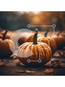 Intra Συλλεκτικό Ξύλινο Παζλ Plywood  4mm - Σειρά από πορτοκαλί κολοκύθες σε ξύλινη επιφάνεια Σε Ξύλινο Κουτί - Διαστάσεις Puzzle: 10x10 cm – 25 κομμάτια