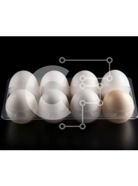 Σετ των 2 Intra Συλλεκτικό Ξύλινο Παζλ Plywood  4mm - Λευκά αυγά σε πλαστικό δίσκο σε μαύρο φόντο Σε Ξύλινο Κουτί - Διαστάσεις: 10x10 cm – 25 κομμάτια