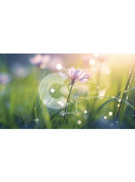 Intra Συλλεκτικό Ξύλινο Παζλ Plywood  4mm - Ροζ λουλούδι την άνοιξη με σταγονίδια δροσιάς Σε Ξύλινο Κουτί - Διαστάσεις: 10x10 cm – 25 κομμάτια