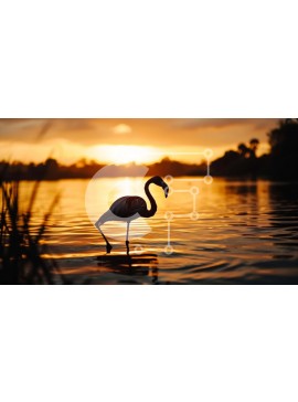 Intra Συλλεκτικό Ξύλινο Παζλ Plywood  4mm - Ροζ φλαμίνγκο που στέκεται στο νερό στο ηλιοβασίλεμα Σε Ξύλινο Κουτί - Διαστάσεις: 10x10 cm – 25 κομμάτια