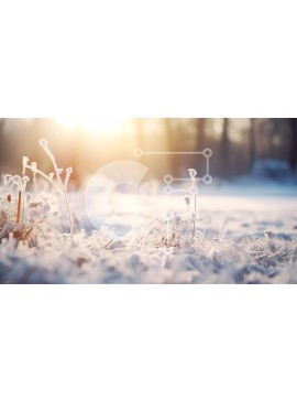 Intra Συλλεκτικό Ξύλινο Παζλ Plywood  4mm - Winter Wonderland: A Serene Scene of Snowy Fields and Frosty Trees Σε Ξύλινο Κουτί - Διαστάσεις: 10x10 cm – 25 κομμάτια