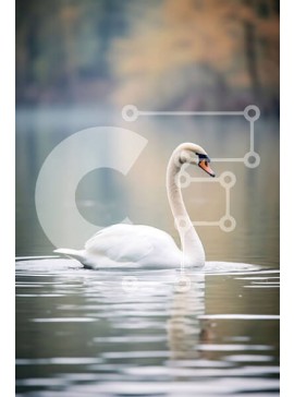 Σετ των 2 Intra Συλλεκτικό Ξύλινο Παζλ Plywood  4mm - Όμορφη εικόνα ενός λευκού κύκνου σε μια ήρεμη λίμνη με φθινοπωρινό φύλλωμα στο φόντο Σε Ξύλινο Κουτί - Διαστάσεις: 10x10 cm – 25 κομμάτια