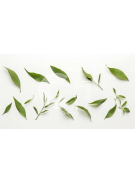 Intra Συλλεκτικό Ξύλινο Παζλ Plywood  4mm - Σύνθεση με πράσινα φύλλα Σε Ξύλινο Κουτί - Διαστάσεις: 10x10 cm – 25 κομμάτια