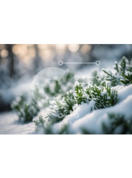 Intra Συλλεκτικό Ξύλινο Παζλ Plywood  4mm - Κοντινό πλάνο με χιονισμένα φυτά Σε Ξύλινο Κουτί - Διαστάσεις: 10x10 cm – 25 κομμάτια