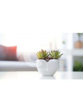 Intra Συλλεκτικό Ξύλινο Παζλ Plywood  4mm - Παχύφυτα σε μια λευκή γλάστρα φυτών σε ένα τραπέζι Σε Ξύλινο Κουτί - Διαστάσεις Puzzle: 10x10 cm – 25 κομμάτια