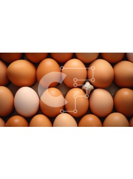 Σετ των 2 Intra Συλλεκτικό Ξύλινο Παζλ Plywood  4mm - Ομάδα αυγών που τακτοποιούνται σε ένα σχέδιο Σε Ξύλινο Κουτί - Διαστάσεις: 10x10 cm – 25 κομμάτια