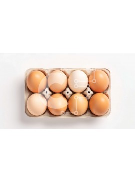 Σετ των 2 Intra Συλλεκτικό Ξύλινο Παζλ Plywood  4mm - Καφέ αυγά σε χάρτινο κουτί με διαφανές παράθυρο Σε Ξύλινο Κουτί - Διαστάσεις: 10x10 cm – 25 κομμάτια