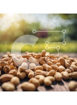 Σετ των 2 Intra Συλλεκτικό Ξύλινο Παζλ Plywood  4mm - Φρέσκα φιστίκια σε ξύλινο τραπέζι με πράσινο φόντο Σε Ξύλινο Κουτί - Διαστάσεις: 10x10 cm – 25 κομμάτια